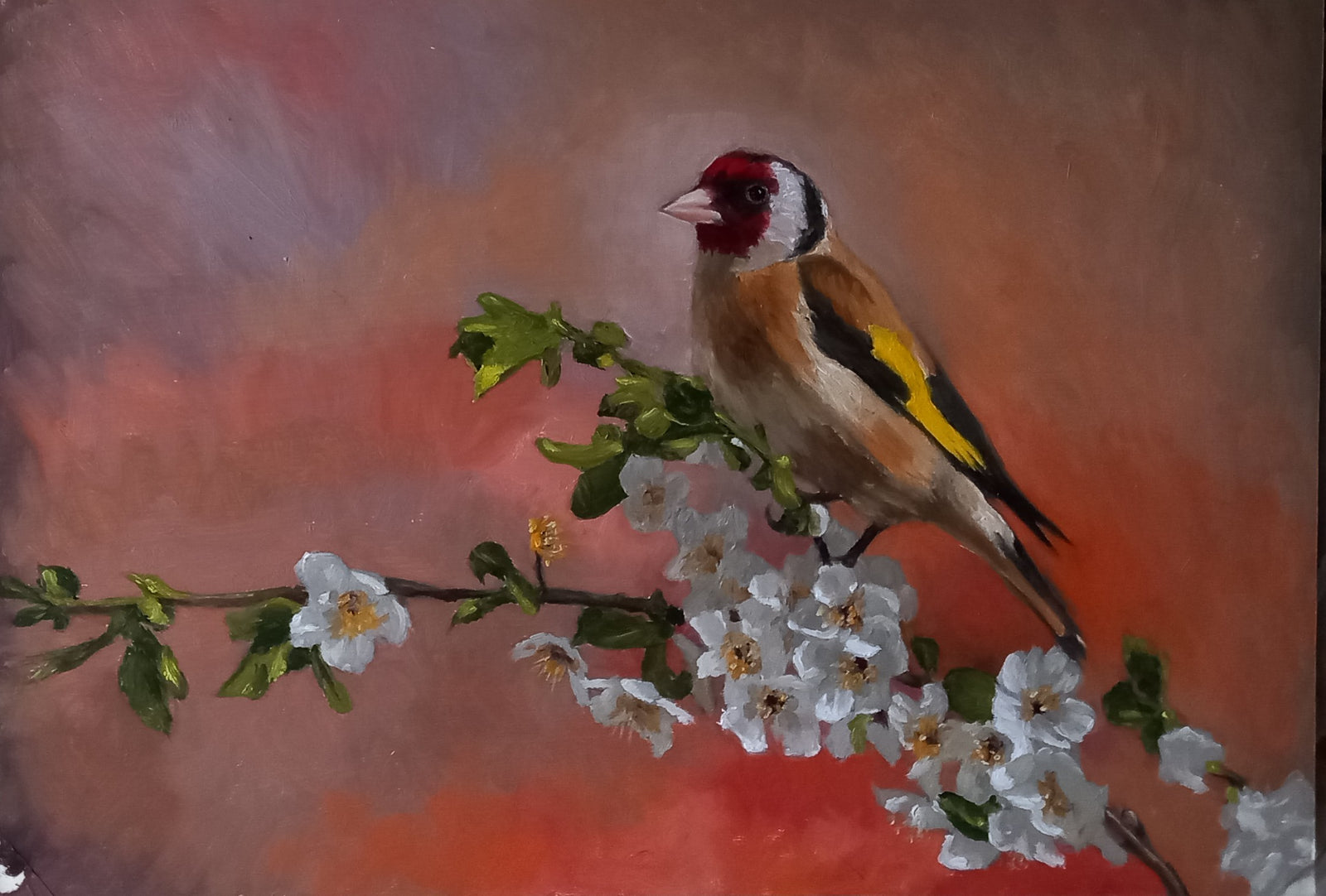 Goldfinch In Apple Blossom Original Oil Painting by Steffan Johnson