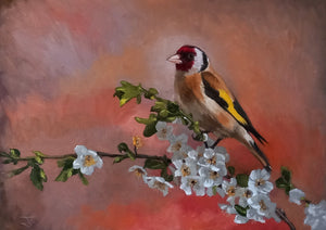 Goldfinch In Apple Blossom Original Oil Painting by Steffan Johnson