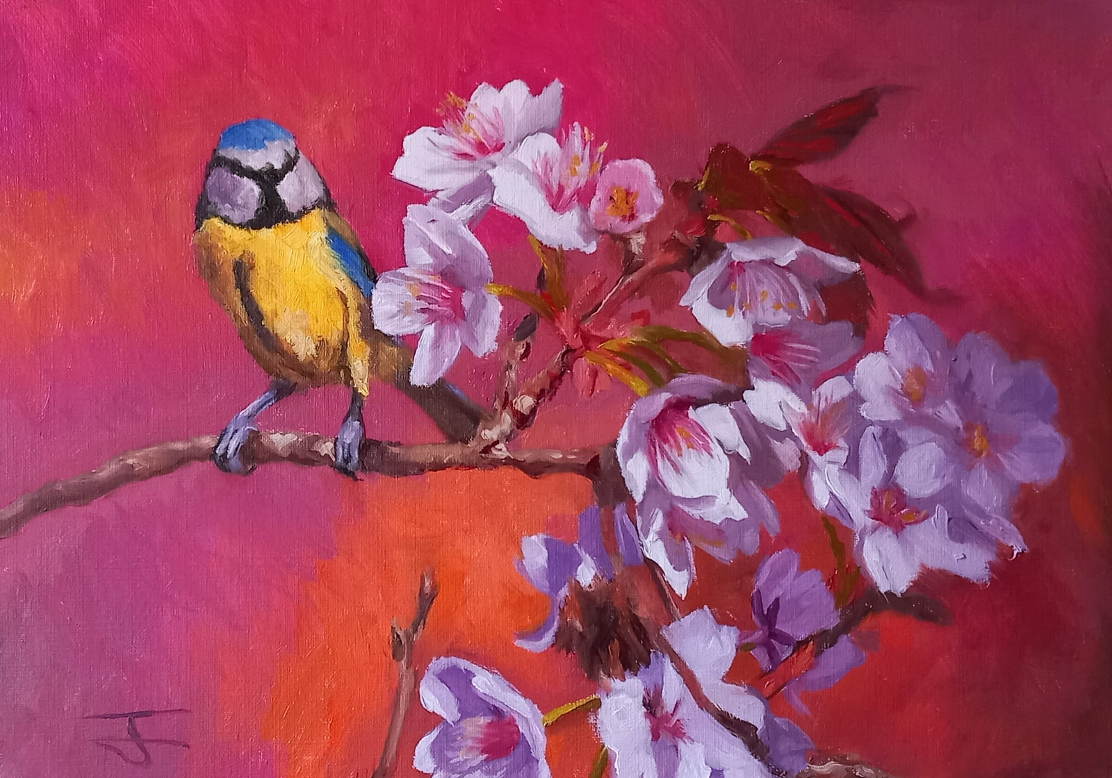 Lookout from the Bloom Bluetit Oil Painting