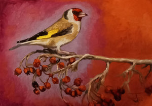 Rosehip Goldfinch Original Oil Painting by Steffan Johnson