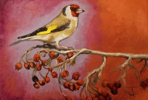 Rosehip Goldfinch Original Oil Painting by Steffan Johnson