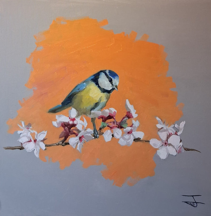 Blue Tit Spring Bloom 001 Oil Painting Original Bird Artwork