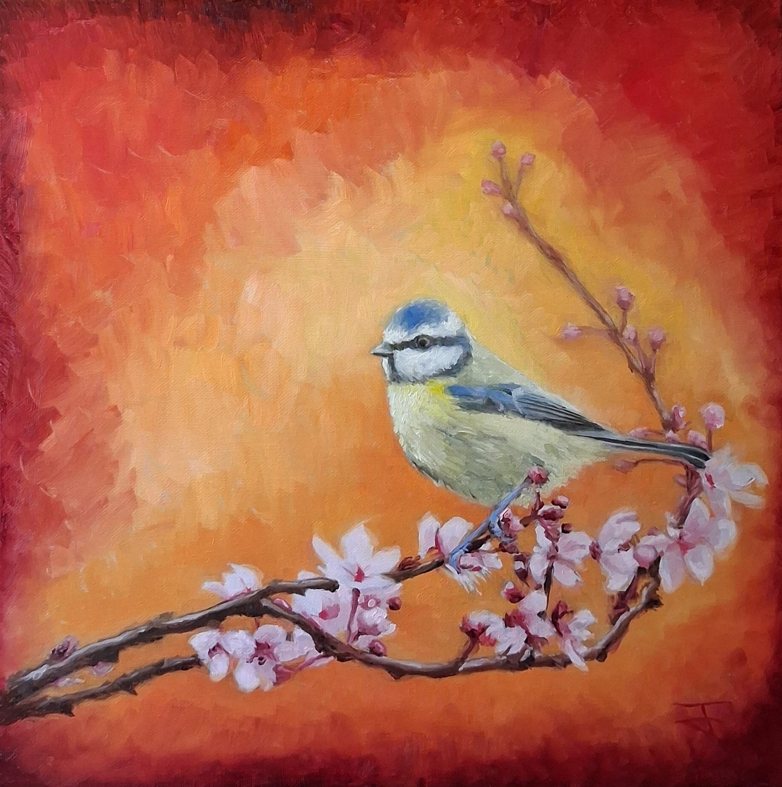 Blue Tit Spring Bloom 002 Oil Painting Original Bird Artwork