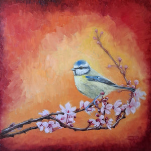 Blue Tit Spring Bloom 002 Oil Painting Original Bird Artwork