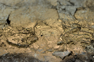 Veins of Time (2026) Acrylic painting by Edelgard Schroer