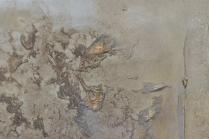 Golden Echoes (2025) Acrylic painting by Edelgard Schroer