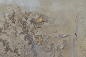 Golden Echoes (2025) Acrylic painting by Edelgard Schroer