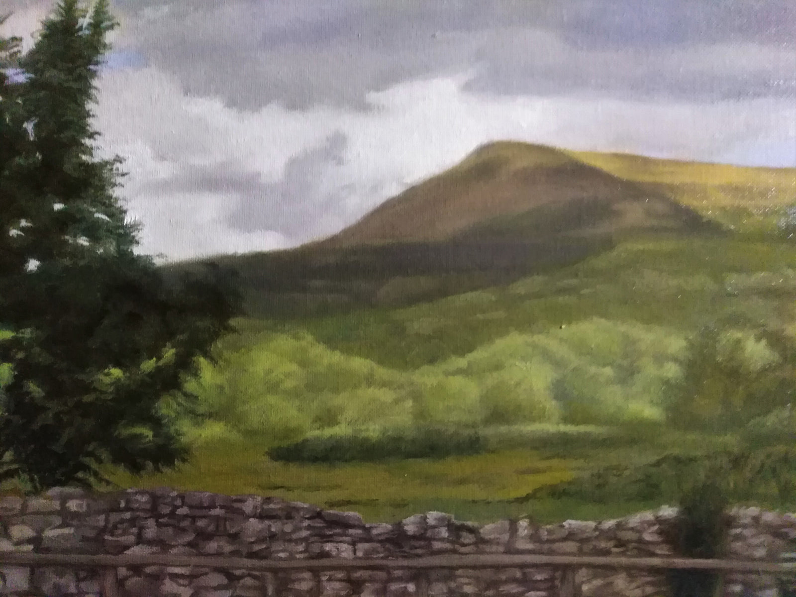 Near Llangorse Brecon Beacons By Steffan Johnson