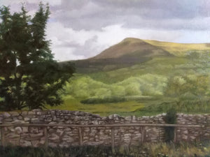 Near Llangorse Brecon Beacons By Steffan Johnson