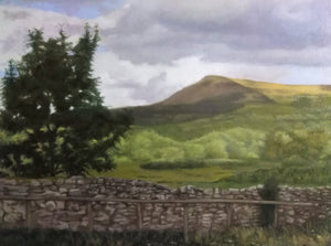 Near Llangorse Brecon Beacons By Steffan Johnson