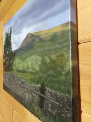 Near Llangorse Brecon Beacons By Steffan Johnson